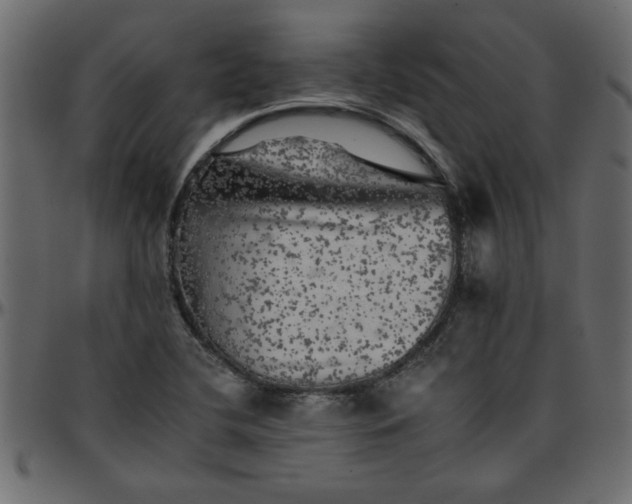 X0000095671412200801221154