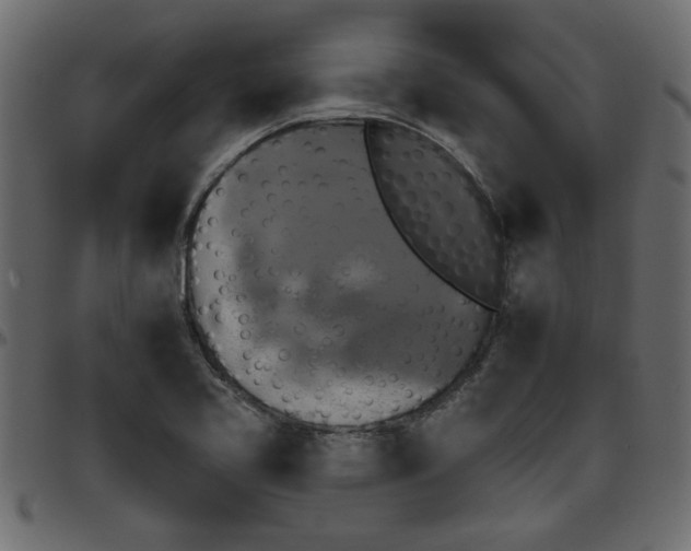 X0000095671413200801221154