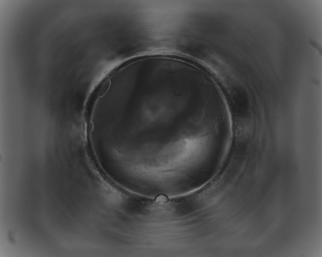 X0000095671414200801221154