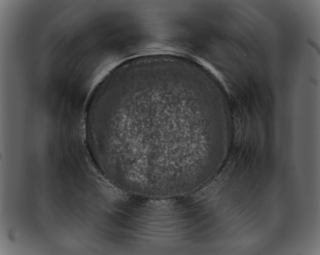 X0000095671415200801221154