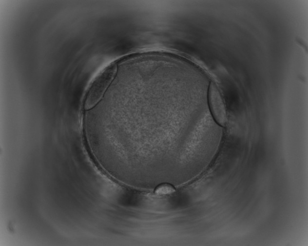 X0000095671416200801221154