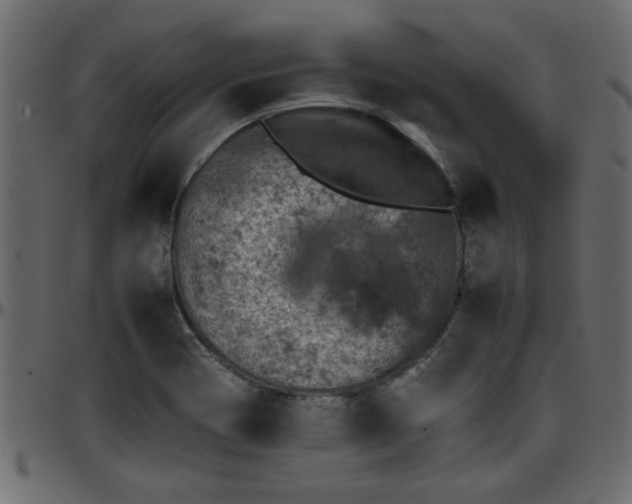 X0000095671417200801221154