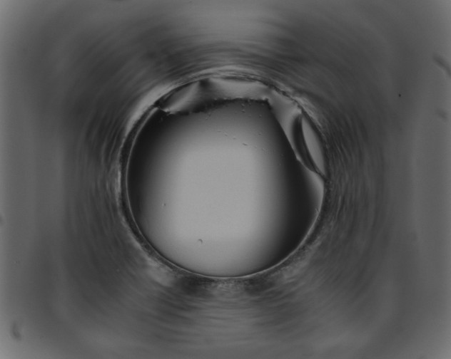 X0000095671418200801221154