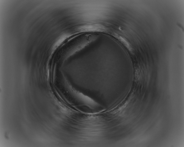 X0000095671419200801221154