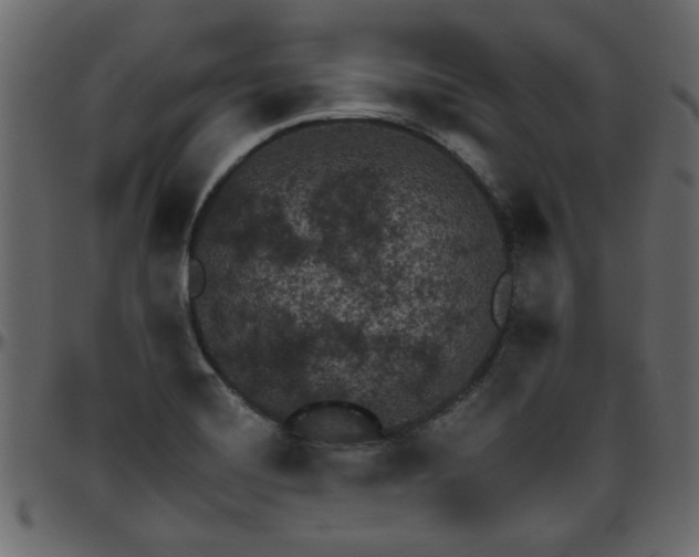 X0000095671420200801221154