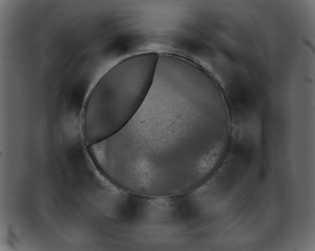 X0000095671421200801221154