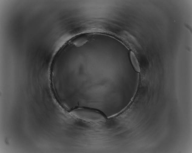 X0000095671422200801221154