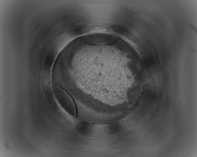 X0000095671423200801221154