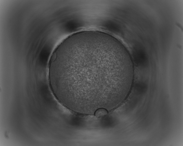 X0000095671424200801221154