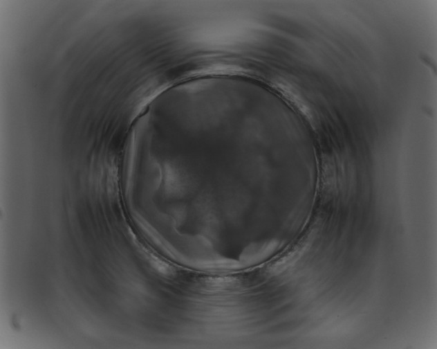 X0000095671425200801221154