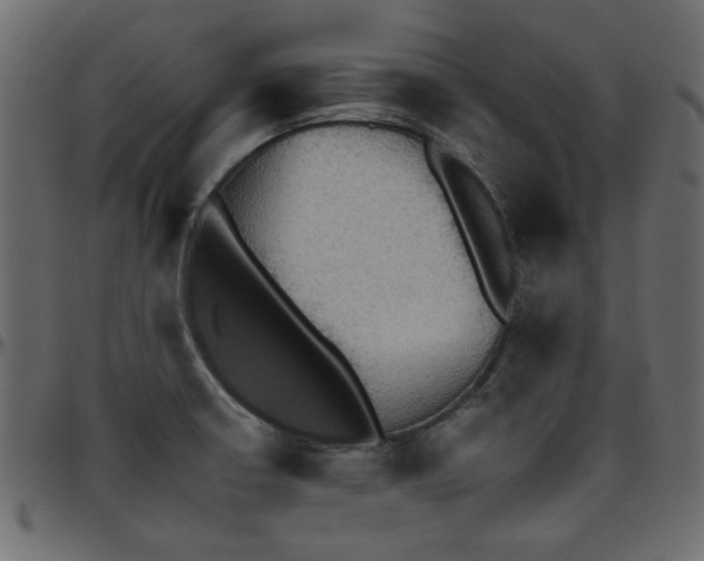 X0000095671426200801221154