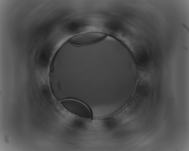 X0000095671427200801221154