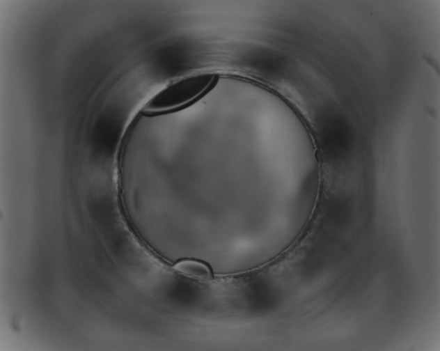 X0000095671428200801221154