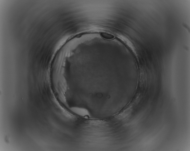 X0000095671429200801221154