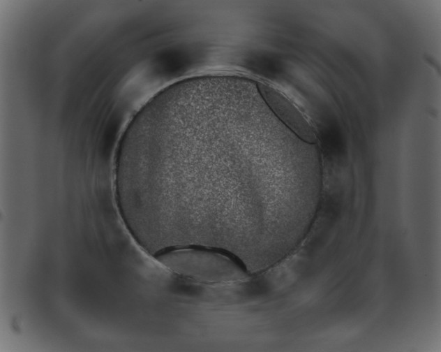 X0000095671430200801221154