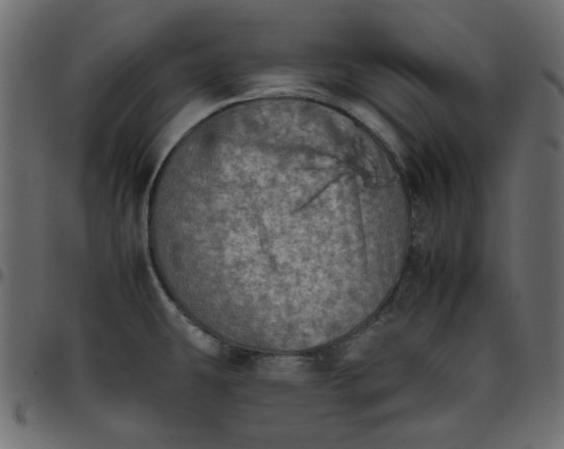 X0000095671431200801221154