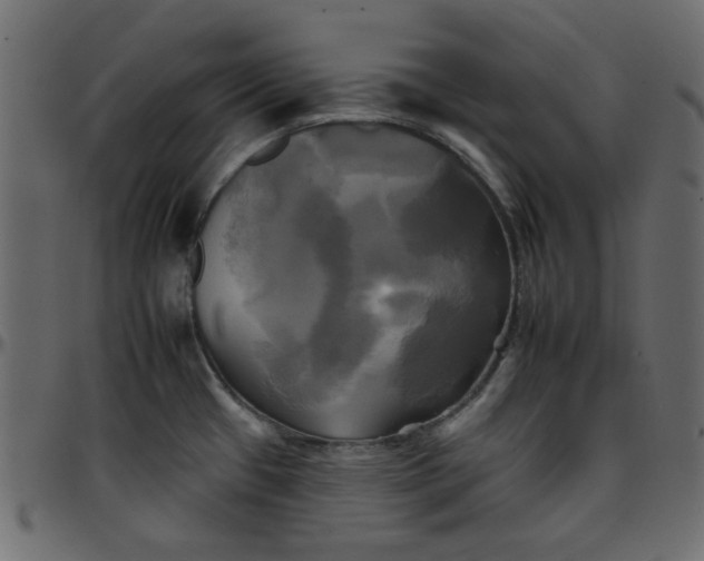 X0000095671433200801221154