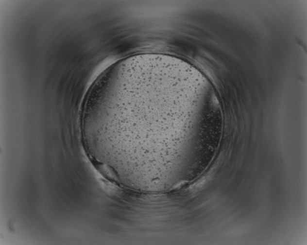 X0000095671434200801221154