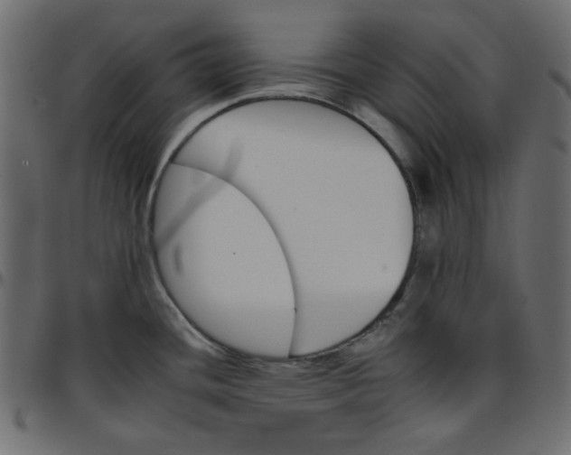 X0000095671436200801221154