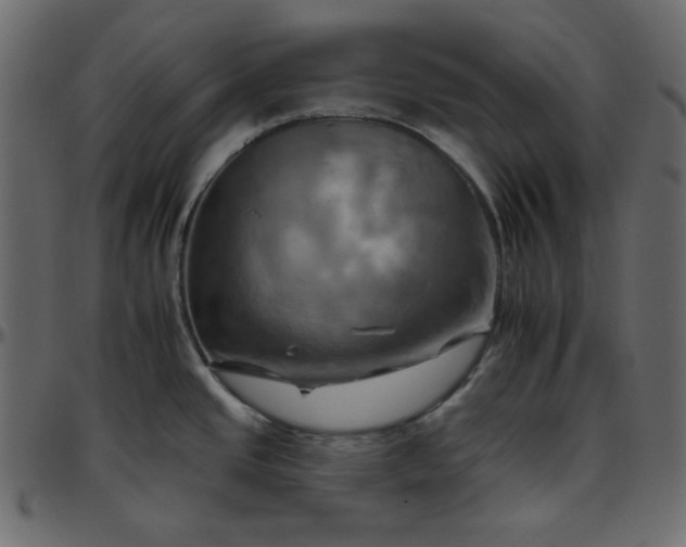 X0000095671437200801221154