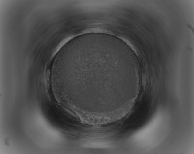 X0000095671438200801221154