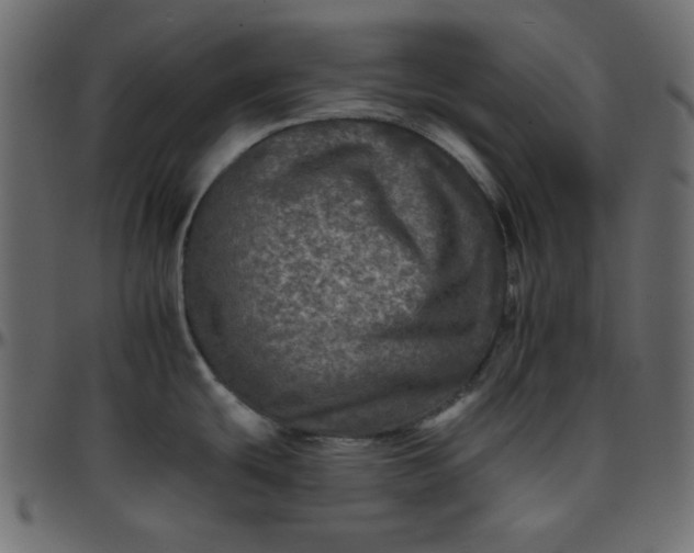 X0000095671439200801221154