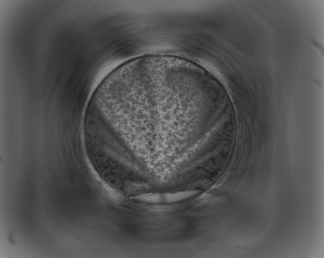 X0000095671440200801221154