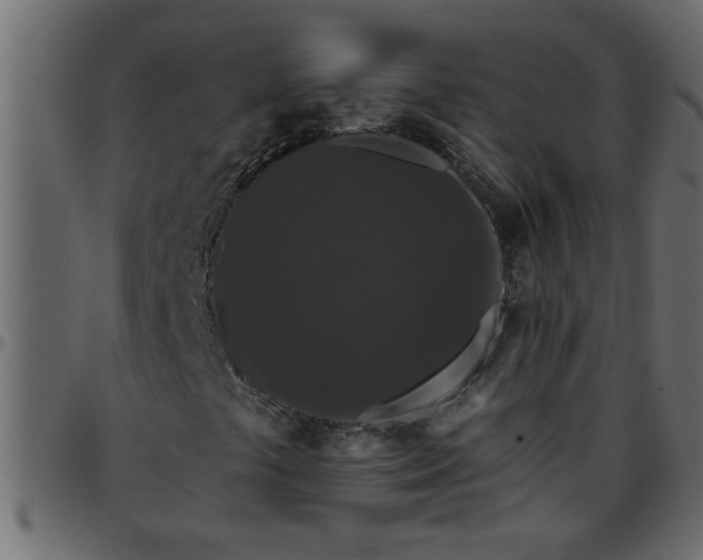 X0000095671441200801221153