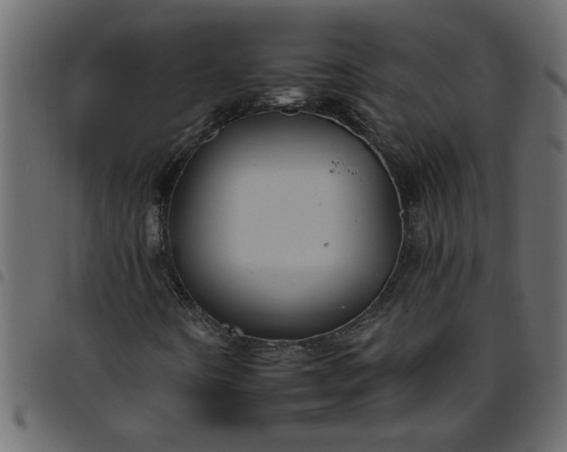 X0000095671442200801221153