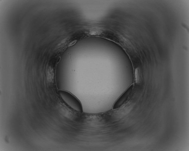 X0000095671443200801221153