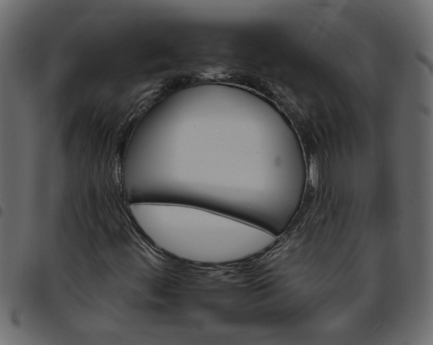 X0000095671444200801221153