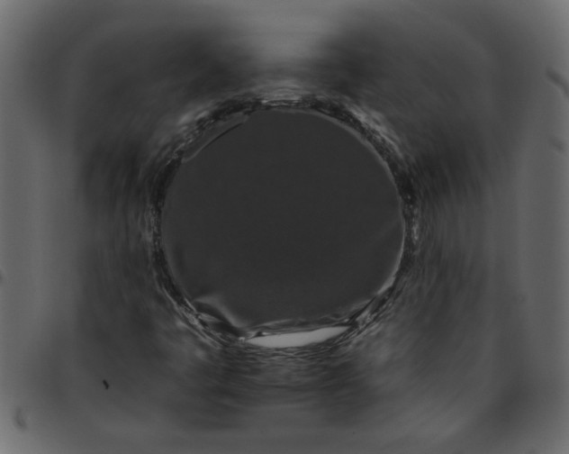 X0000095671445200801221153