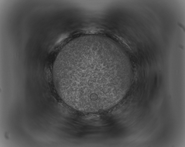 X0000095671446200801221153