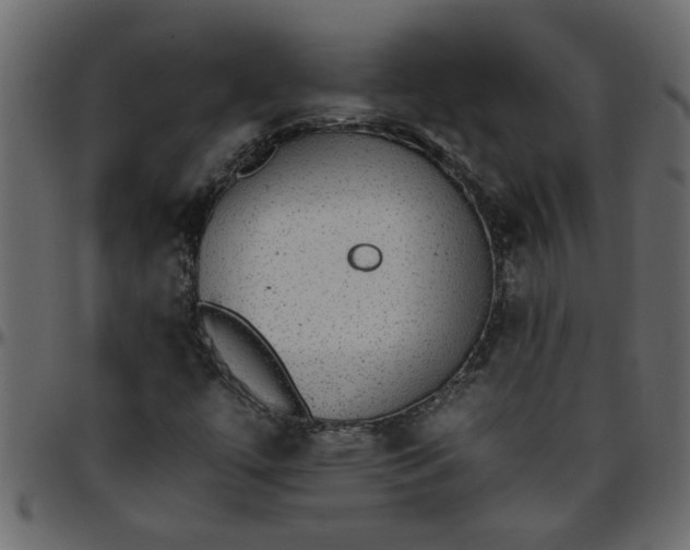 X0000095671447200801221153