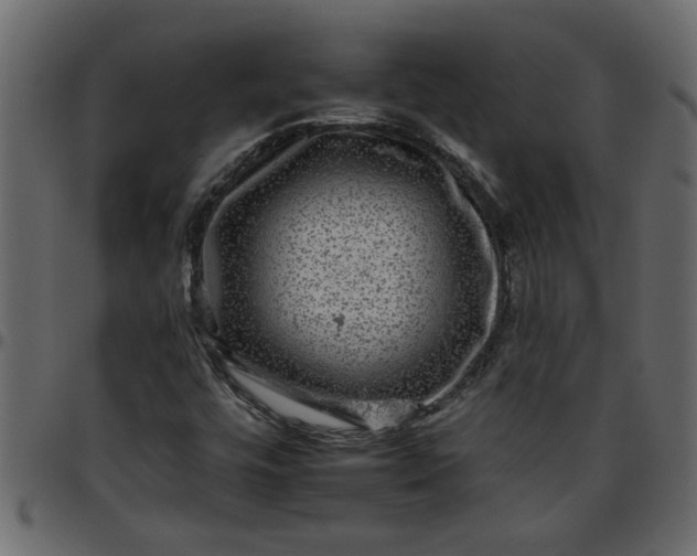 X0000095671448200801221153