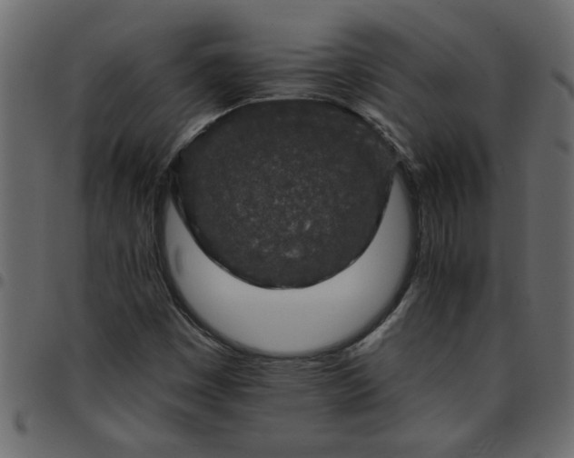 X0000095671449200801221153