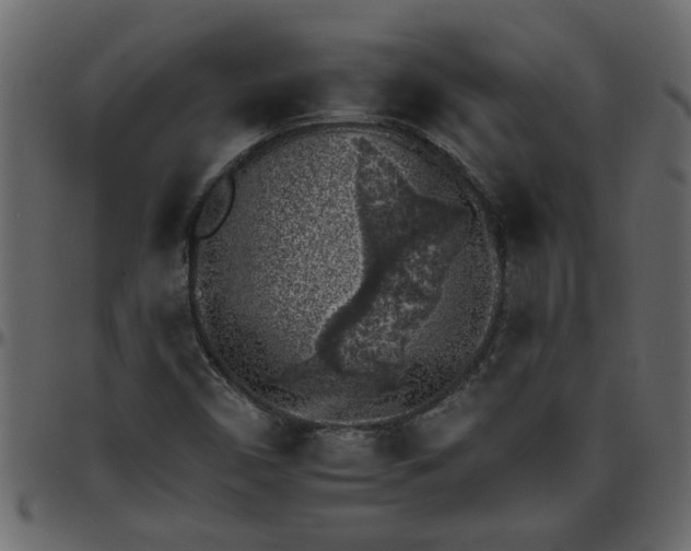 X0000095671450200801221153