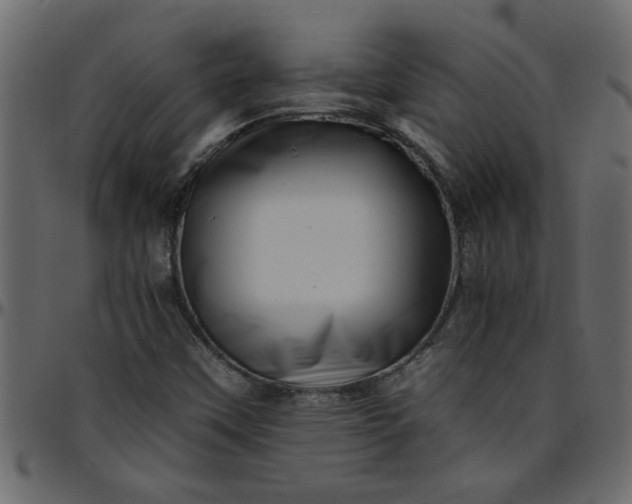 X0000095671451200801221153