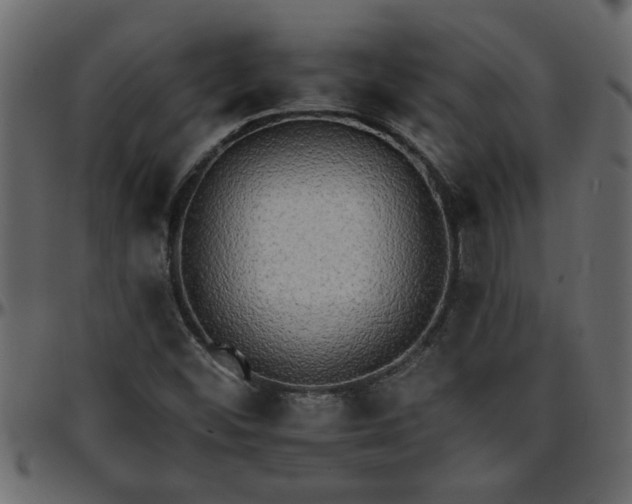 X0000095671452200801221153