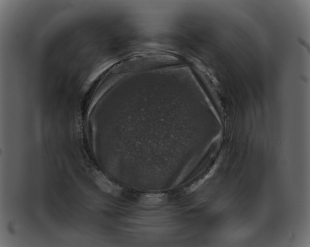 X0000095671453200801221153