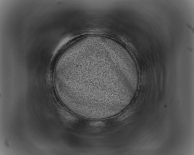 X0000095671454200801221153