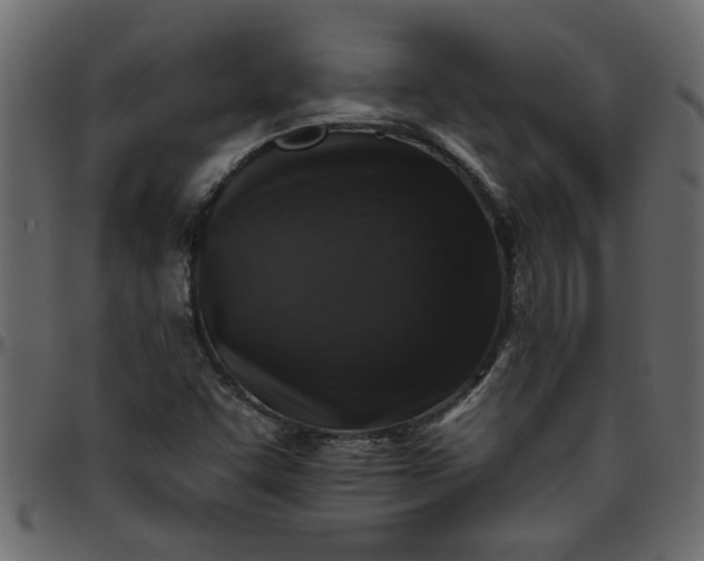 X0000095671455200801221153