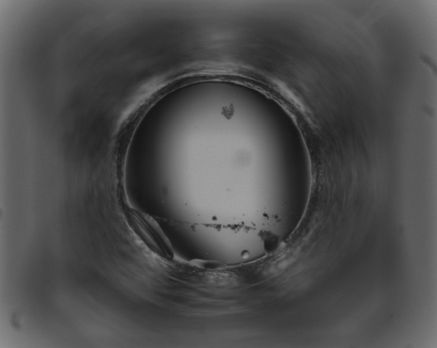 X0000095671456200801221153