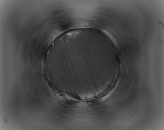 X0000095671457200801221153