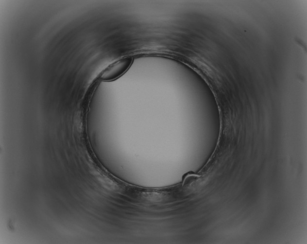 X0000095671458200801221153