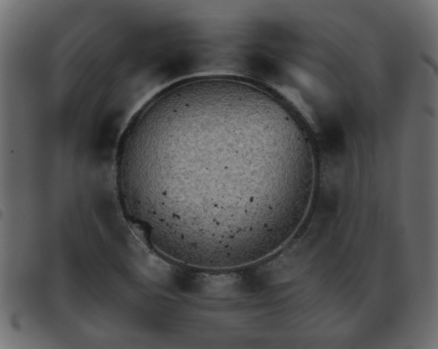 X0000095671460200801221153