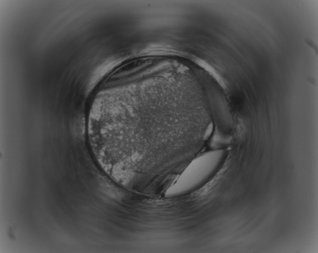 X0000095671461200801221153