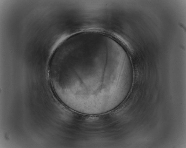 X0000095671462200801221153