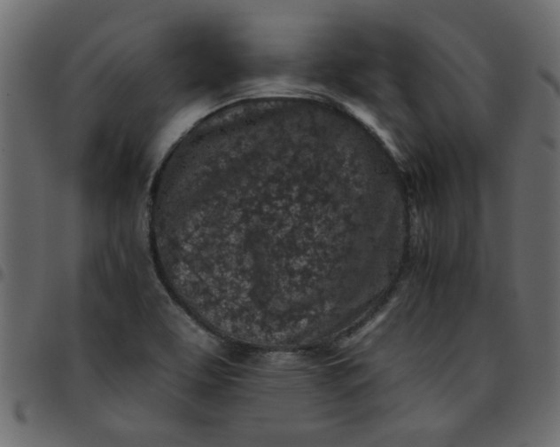 X0000095671463200801221153