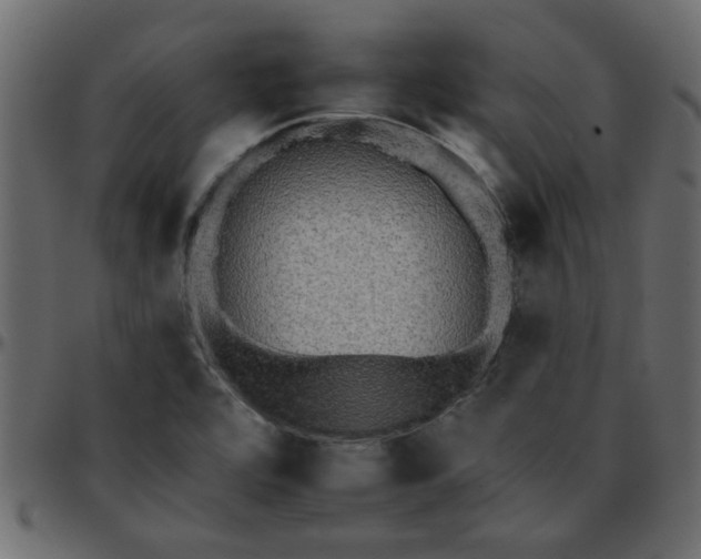 X0000095671464200801221153